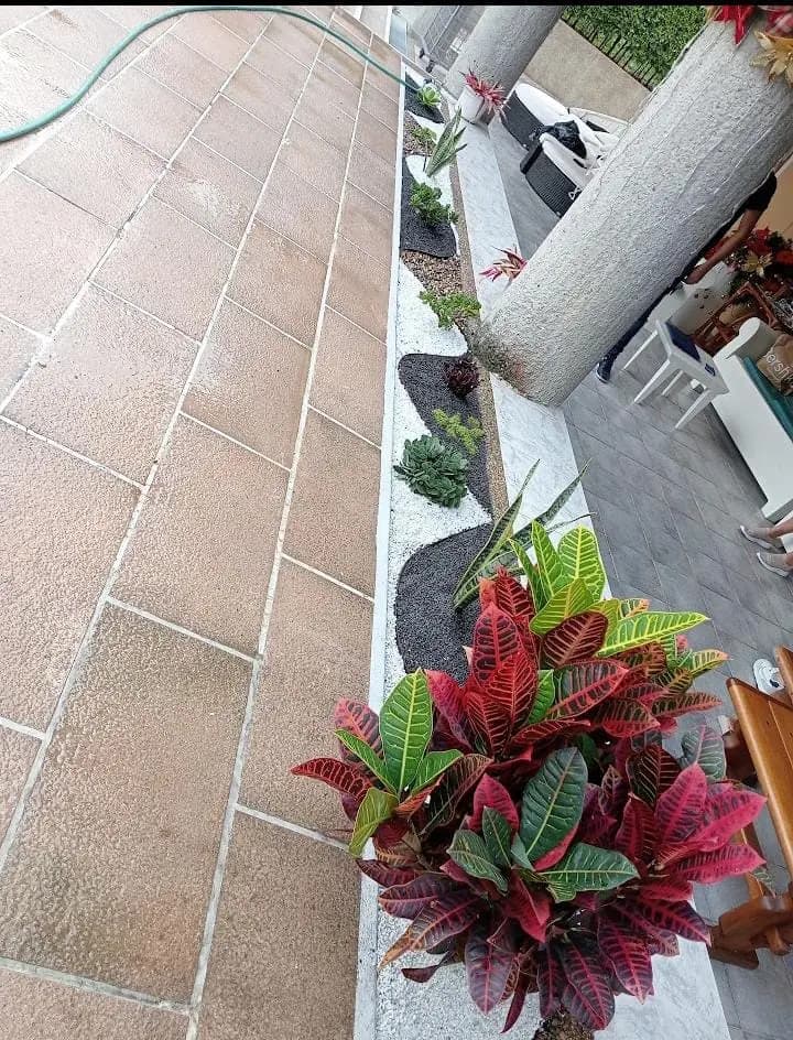 trabajos jardineria